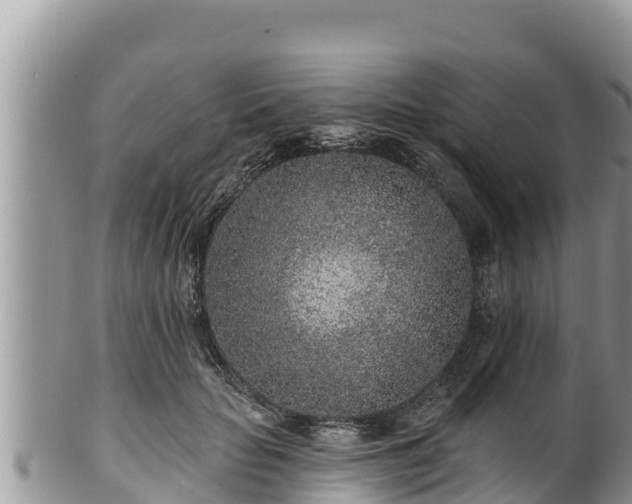 X0000102310653200808011604