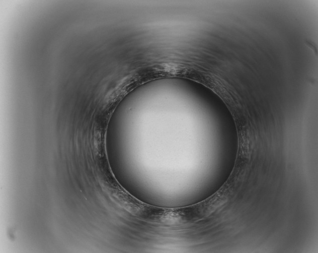 X0000102310656200808011604