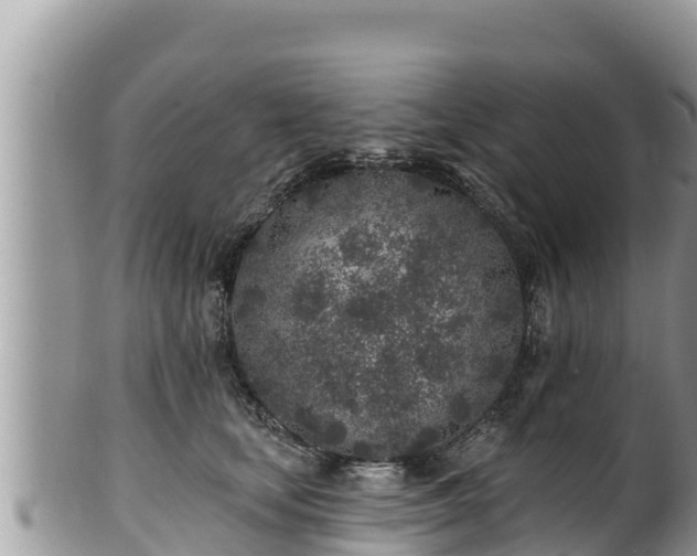 X0000102310659200808011604