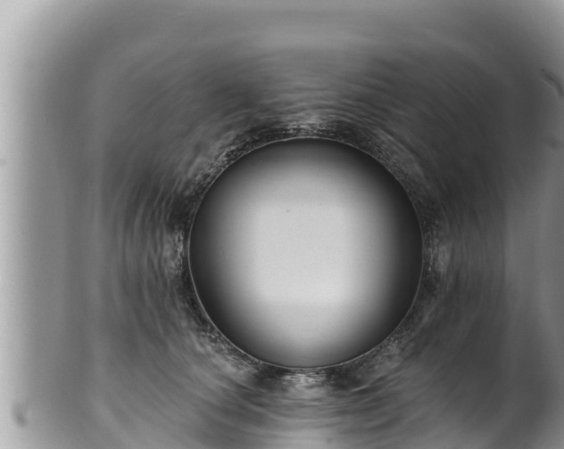 X0000102310660200808011604