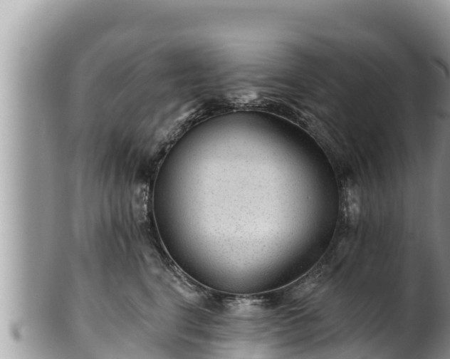 X0000102310664200808011604