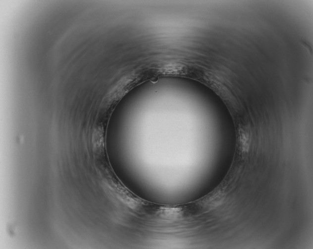 X0000102310665200808011604