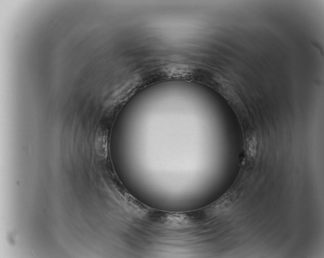 X0000102310666200808011604