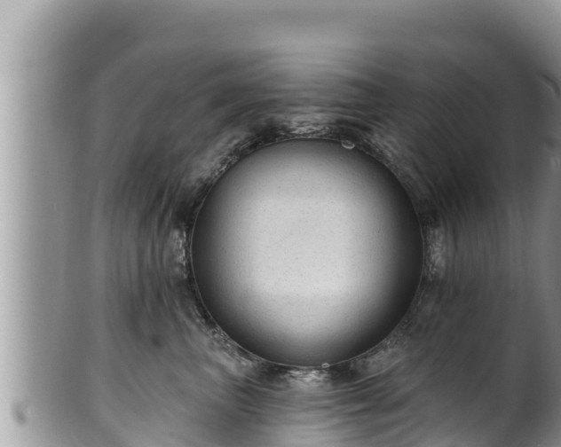 X0000102310667200808011604