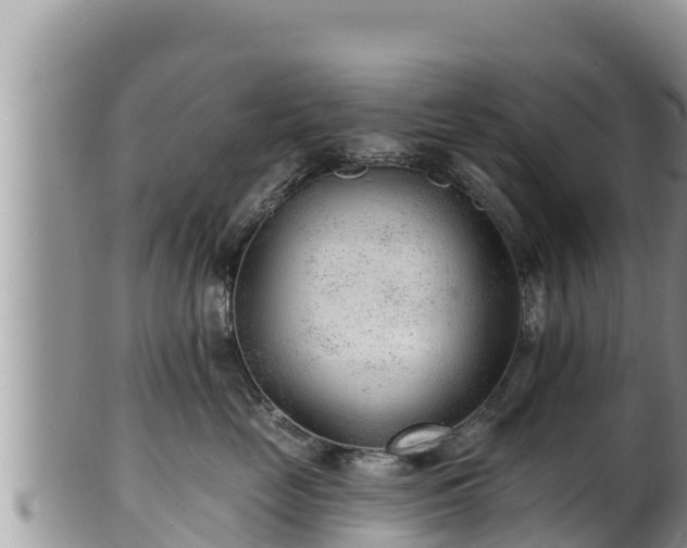 X0000102310669200808011604