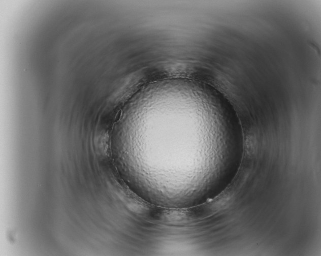 X0000102310671200808011604