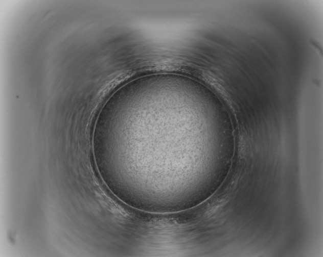 X0000102310673200808011603