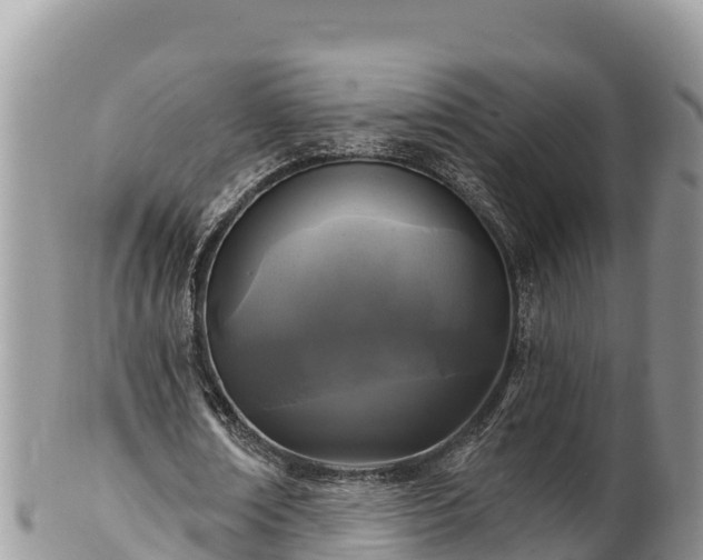 X0000102310674200808011603