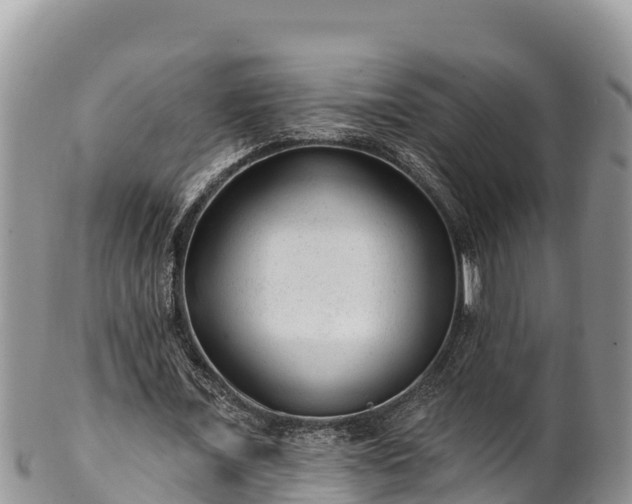 X0000102310675200808011603