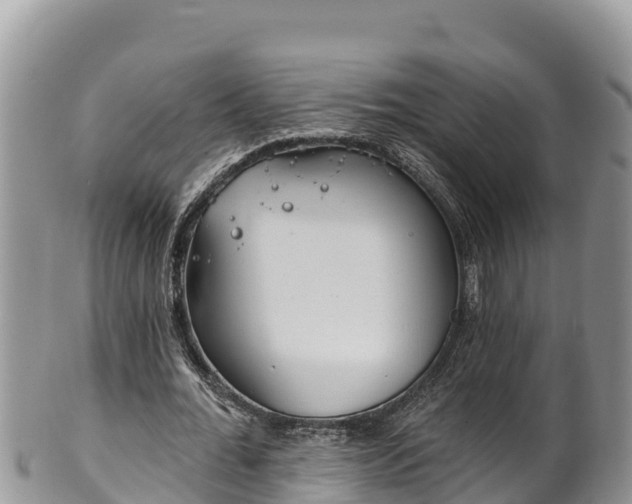 X0000102310676200808011603