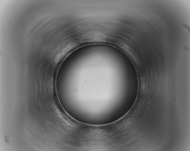 X0000102310677200808011603