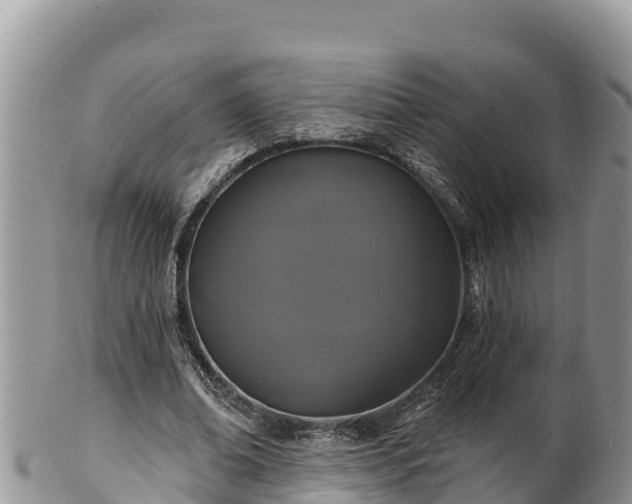 X0000102310678200808011603