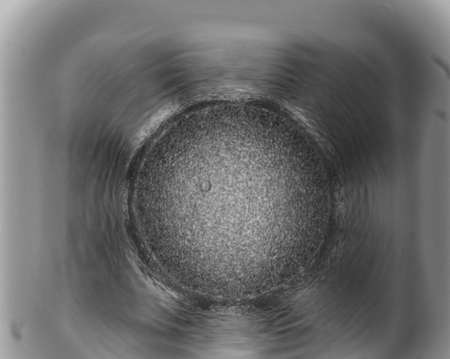 X0000102310679200808011603