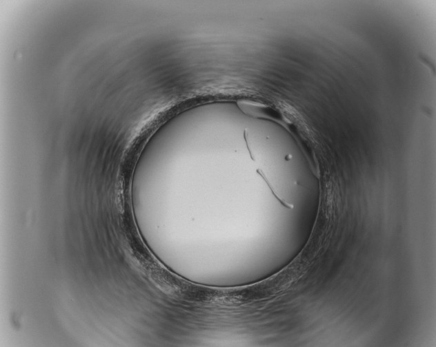 X0000102310680200808011603