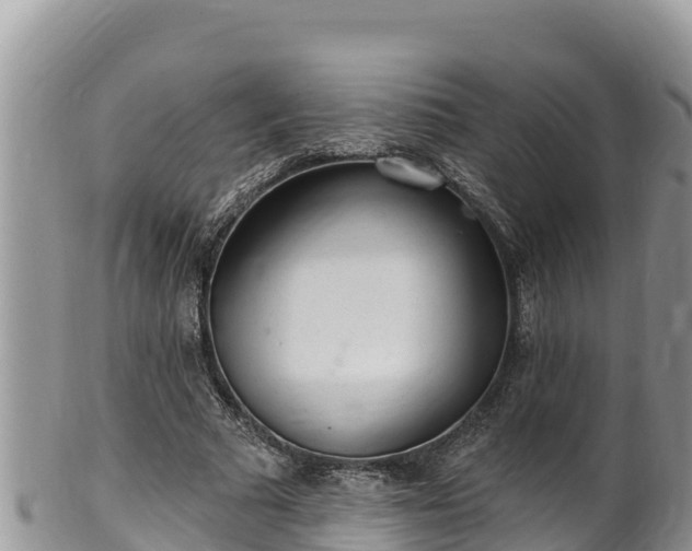 X0000102310681200808011603