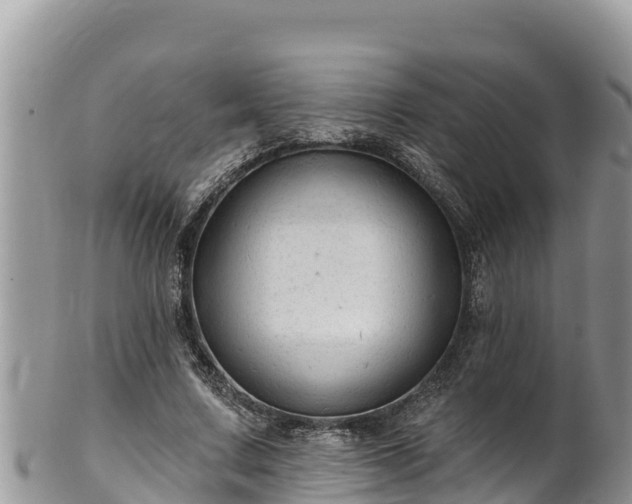 X0000102310683200808011603