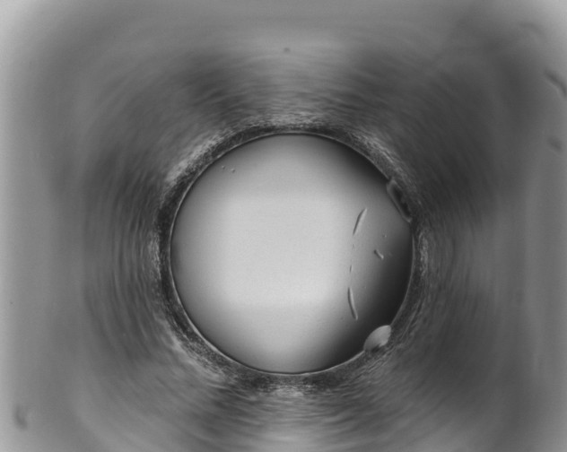 X0000102310684200808011603