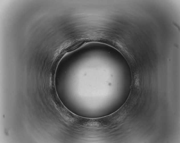 X0000102310685200808011603