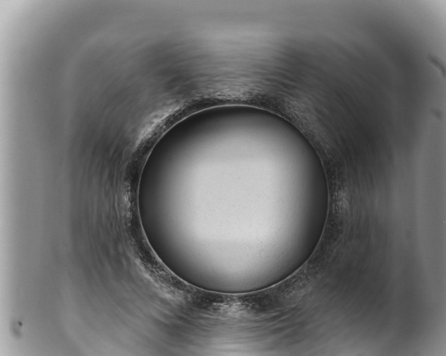 X0000102310688200808011603