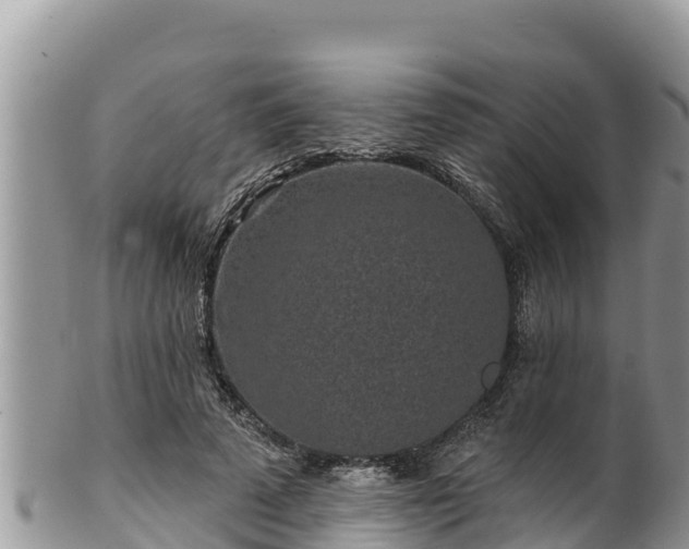 X0000102310689200808011603