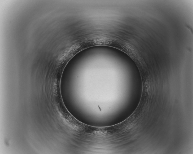 X0000102310690200808011603