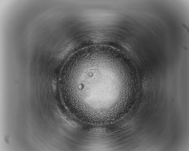 X0000102310691200808011603