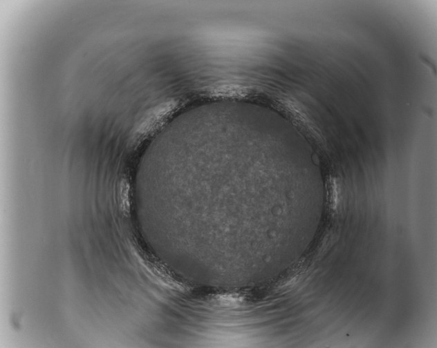 X0000102310692200808011603