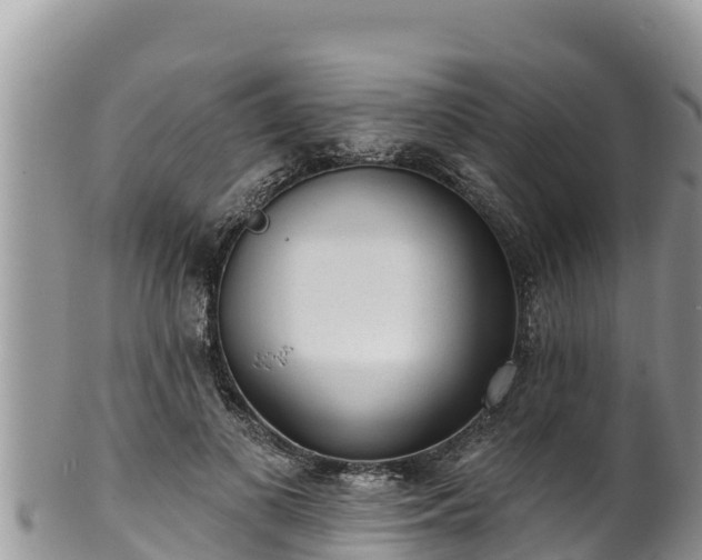 X0000102310693200808011603