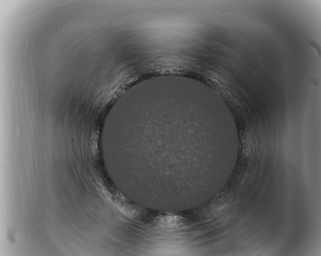 X0000102310695200808011603