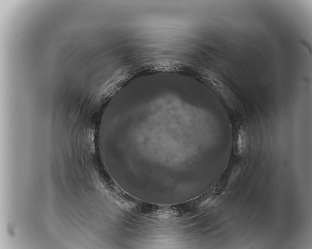 X0000102310696200808011603