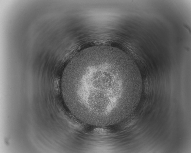 X0000102310699200808011603