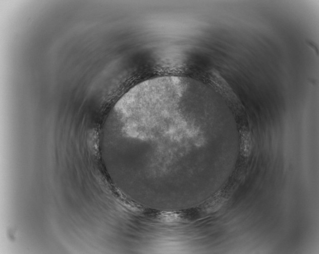 X0000102310701200808011603