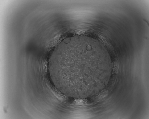 X0000102310703200808011603