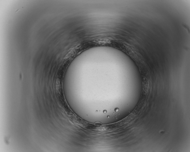 X0000102310704200808011603