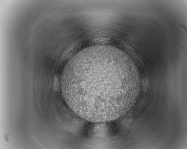 X0000102310705200808011603