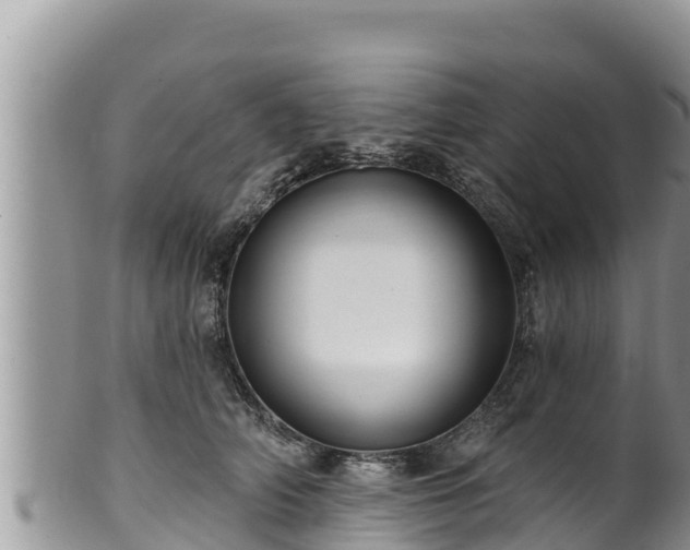 X0000102310706200808011603