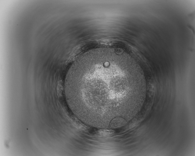 X0000102310707200808011603