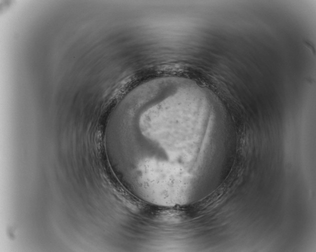 X0000102310708200808011603