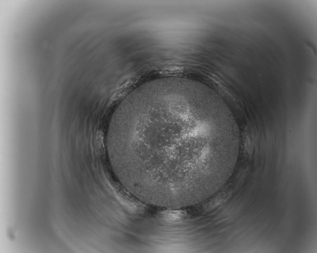 X0000102310711200808011603