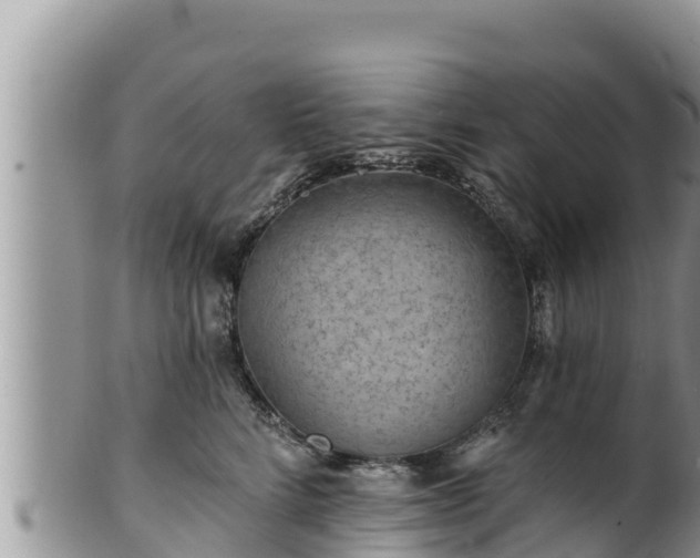 X0000102310712200808011603