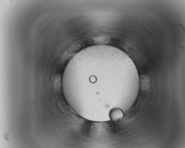 X0000102310713200808011603