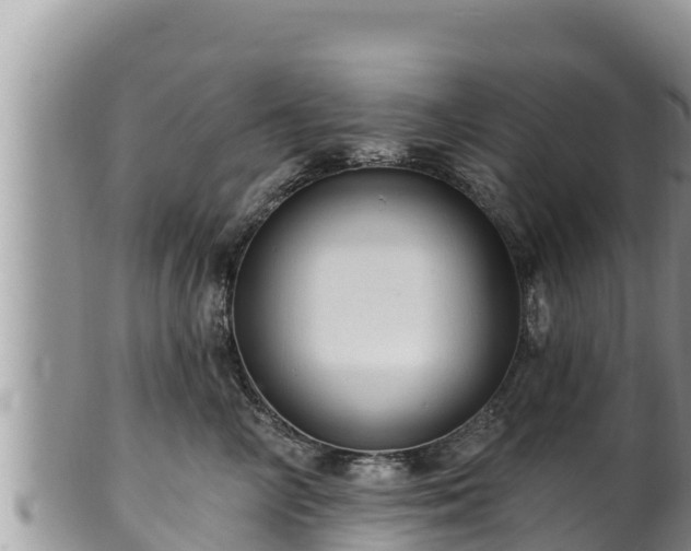 X0000102310714200808011603