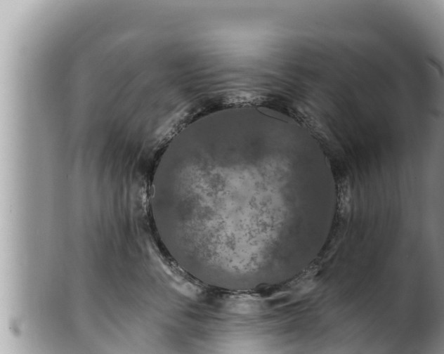 X0000102310716200808011602