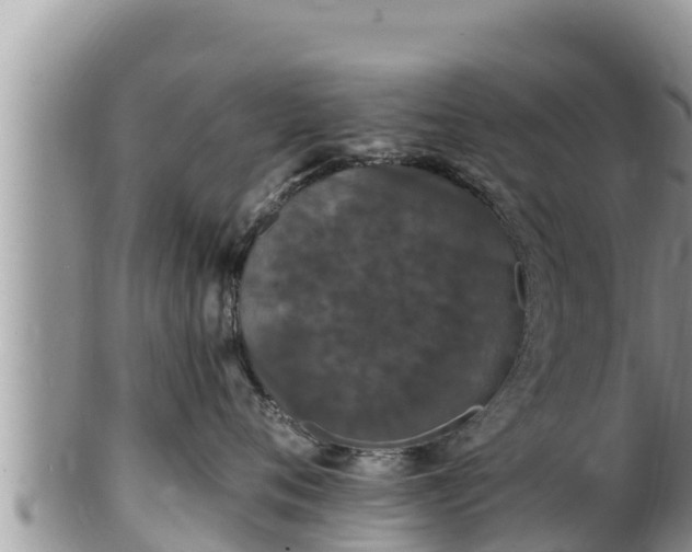 X0000102310720200808011602