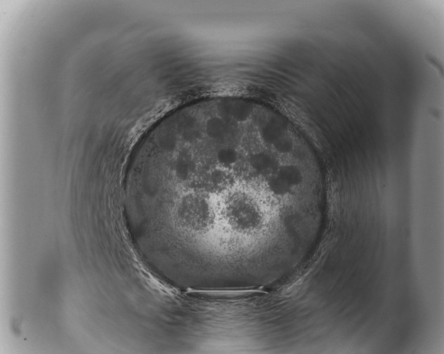 X0000102310721200808011602