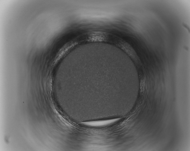 X0000102310722200808011602