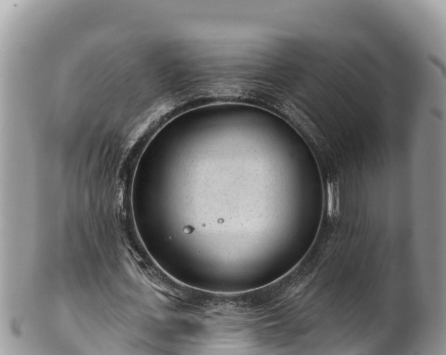 X0000102310723200808011602