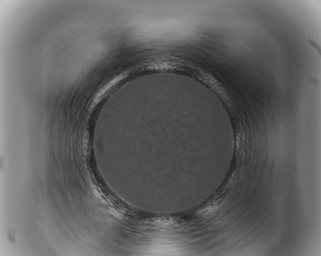 X0000102310724200808011602