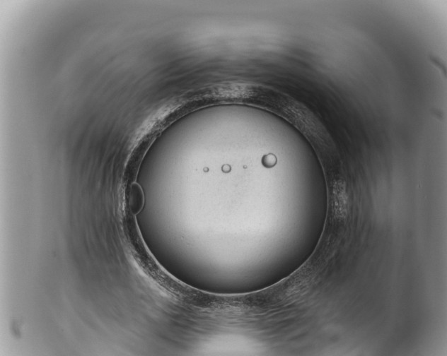 X0000102310726200808011602