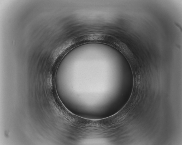 X0000102310727200808011602